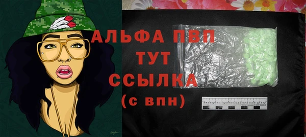 МДПВ Инсар