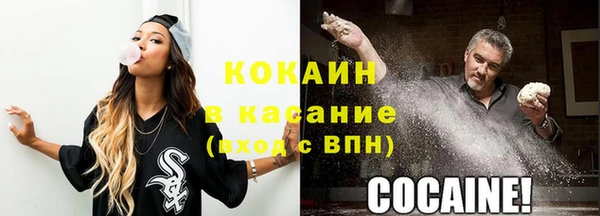 МДПВ Инсар