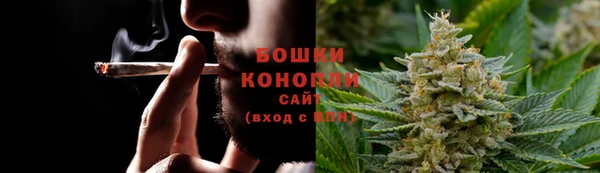 МДПВ Инсар