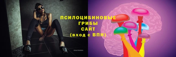 МДПВ Инсар
