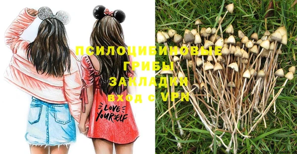 МДПВ Инсар