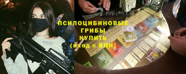МДПВ Инсар