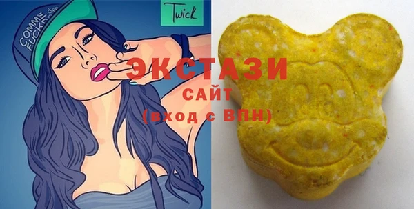 МДПВ Инсар