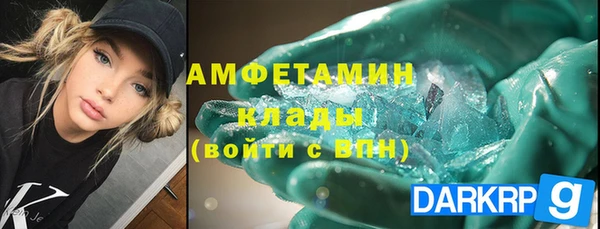 МДПВ Инсар